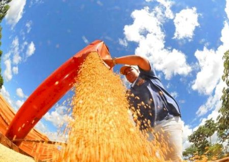 Produ&ccedil;&atilde;o agropecu&aacute;ria cresce 23,6% e chega a R$ 76,3 bilh&otilde;es