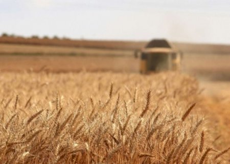Por que os agricultores brasileiros estão investindo em software de gestão agrícola