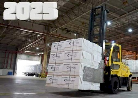 Celulose liderou e sustentou as exporta&ccedil;&otilde;es de MS em ano com susto do tarifa&ccedil;o