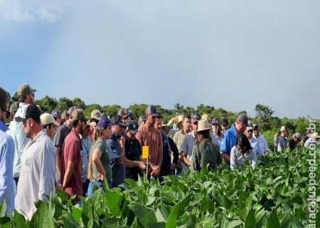 Fundação MS confirma Dia de Campo Safra 2025/2026 para 15 de janeiro na Fazenda Alegria, em Maracaju