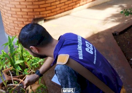 Estado confirma mais duas vítimas e número de mortes por dengue em MS sobe para 20