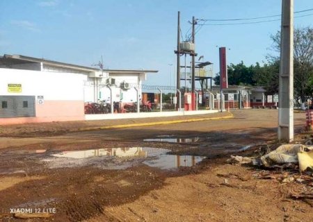 Adolescente é picado por escorpião venenoso no MS