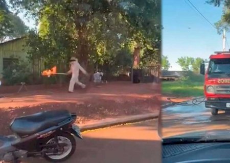 Enxame de abelhas mata cachorro e ataca família, em Fátima do Sul