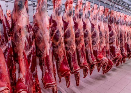 Vietnã habilita mais quatro frigoríficos brasileiros para exportar carne bovina