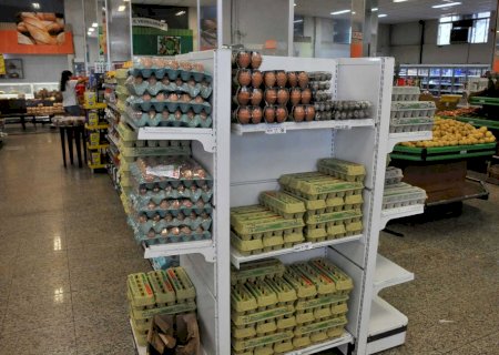 Exportações de ovos batem recorde de volume e receita em 2025, diz ABPA