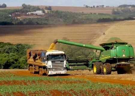 Safra recorde consolida MS entre os seis maiores produtores de gr&atilde;os do pa&iacute;s