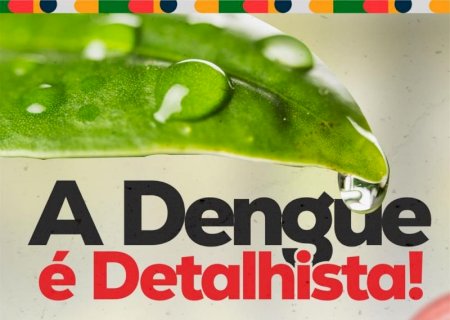 Atenção aos detalhes: Itaporã reforça ações de conscientização contra a dengue