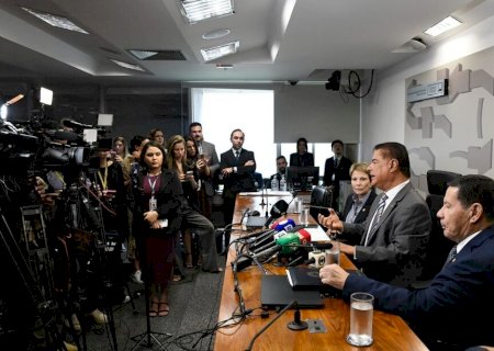 Mato Grosso do Sul pode vender mais soja, carne e celulose com acordo com a União Europeia