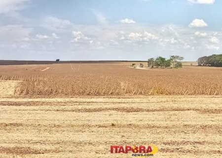 PIB da agropecuária cresce 11,7% e impulsiona resultado da economia em 2025