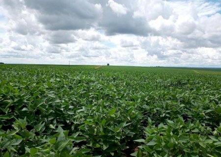 Importação de fertilizantes cai em MS e dólar pressiona custo da safra 2026
