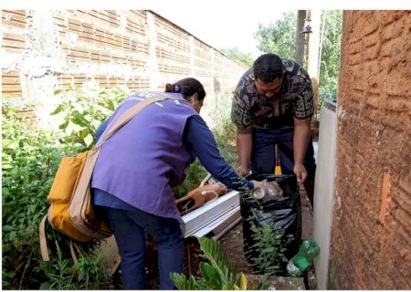 Em 24 horas, Dourados registra mais de 800 casos prováveis de chikungunya