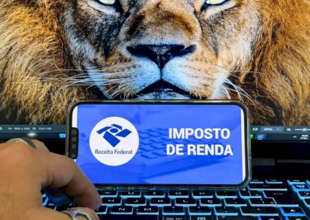 Receita abre consulta a lote da malha fina do Imposto de Renda