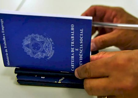 Pesquisa revela que brasileiro prefere emprego com carteira assinada