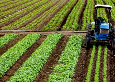 Cr&eacute;dito rural em MS cai 39% em abril e produtores priorizam custeio das lavouras