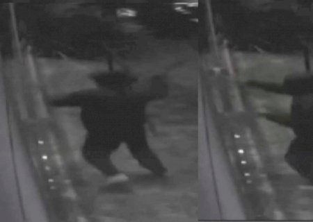 Ladrão é flagrado quebrando vidros de empresa com marreta em Dourados (vídeo)