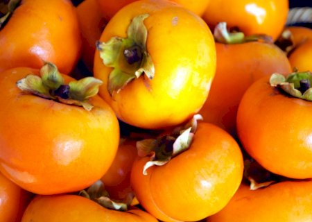 Brasil amplia exportações agropecuárias com novas aberturas de mercado na América Latina