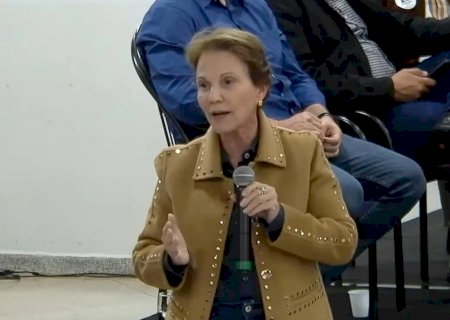 Crise no campo: Tereza Cristina defende fundo garantidor para salvar produtores do endividamento