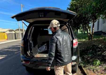 Idoso condenado por estupro de vulnerável e aliciamento de crianças é preso em operação