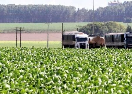 MS entra no radar do BC após economia crescer quase o dobro da média nacional