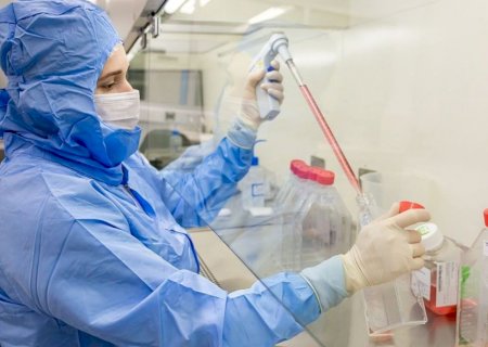 Estudo usa células-tronco contra complicações do transplante de medula