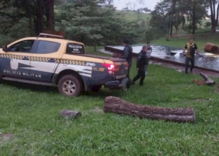 Identificada mulher que morreu após perseguição terminar com carro dentro de piscina