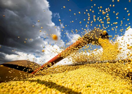 Conab: produção de grãos pode chegar a 358,6 milhões de toneladas