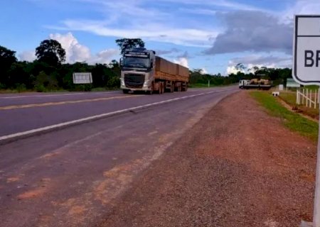 Identificado motorista morto em colisão entre carreta e anta na BR-163