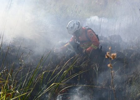 Decreto de emergência ambiental reforça preparação do Governo de MS para enfrentamento a incêndios florestais