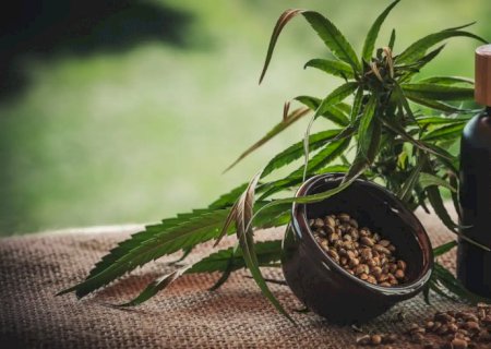 Projeto apoia mães e crianças atípicas tratadas à base de cannabis