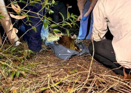 Ossada &eacute; encontrada em fazenda e pode ser de homem desaparecido h&aacute; 3 anos