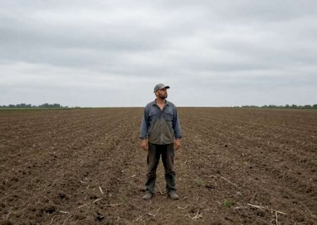 Arrendamento rural: quando &eacute; poss&iacute;vel retomar a terra?
