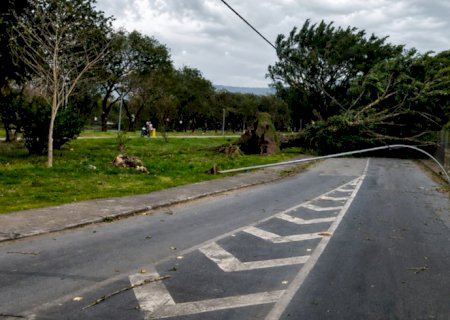 Sobe para três o número de mortes em SP devido à ventania