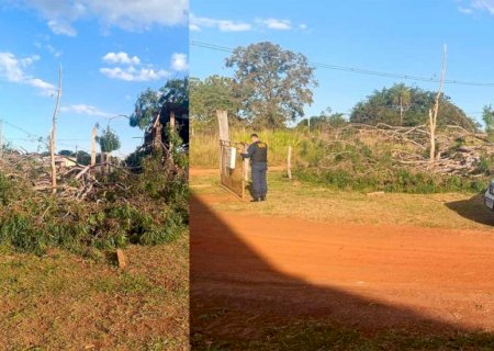 Homem é esmagado enquanto cortava árvore e morre em Anhanduí