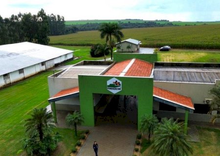Fundação MS transforma ciência em decisões mais seguras para o agro