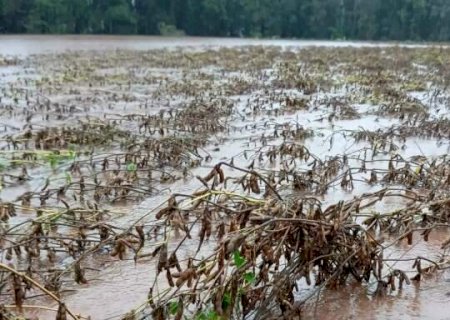 Brasil abre caminho para cr&eacute;dito bilion&aacute;rio voltado ao agro e clima