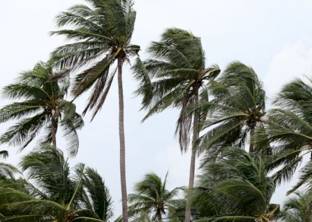 Ventos provocam danos na Costa Verde e na região serrana do RJ