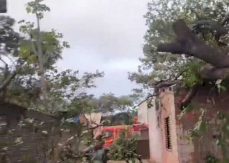 Árvore cai e compromete estrutura de casa em Corumbá