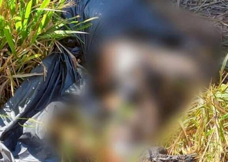 Corpo carbonizado &eacute; encontrado em mata e pol&iacute;cia investiga execu&ccedil;&atilde;o