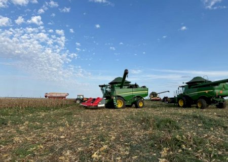 EUA reduz estoques de milho e cenário pode favorecer preços em Mato Grosso do Sul