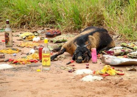 Oferenda com bode morto causa mau cheiro e incomoda moradores no MS