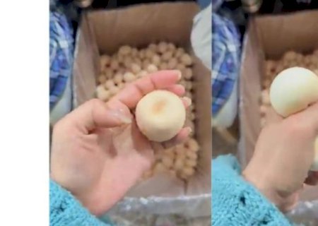 É falso: Anvisa desmente vídeo sobre presença de plástico em ovos