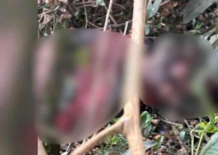 Corpo em avançado estado de decomposição é encontrado em fazenda em Caarapó