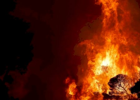 Incêndios florestais devastam diversas áreas da Grécia
