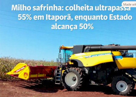 Milho safrinha: colheita ultrapassa 55% em Itaporã, enquanto Estado alcança 50%