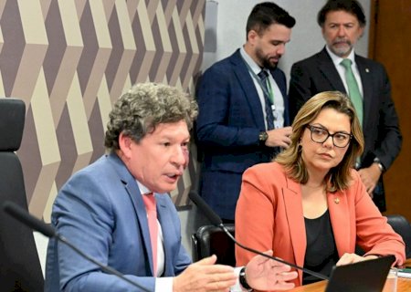 Leila diz que apresenta relatório da MP da 'taxa das blusinhas' na segunda