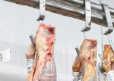 Exportações de carne bovina crescem 42,6% em sete meses