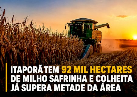 Itaporã tem 92 mil hectares de milho safrinha e colheita já supera metade da área