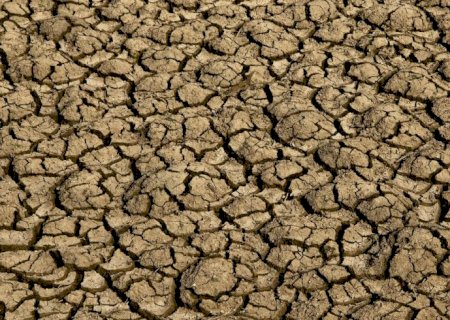 Desertificação no Brasil ameaça segurança hídrica e alimentar