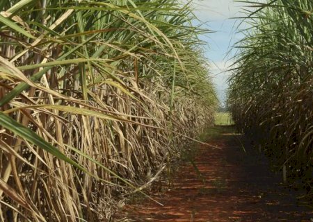 Conselho eleva limite de remuneração do Eco Invest Brasil
