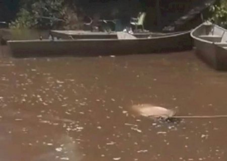 Corpo de homem é encontrado boiando no Rio Miranda, entre Anastácio e Bonito